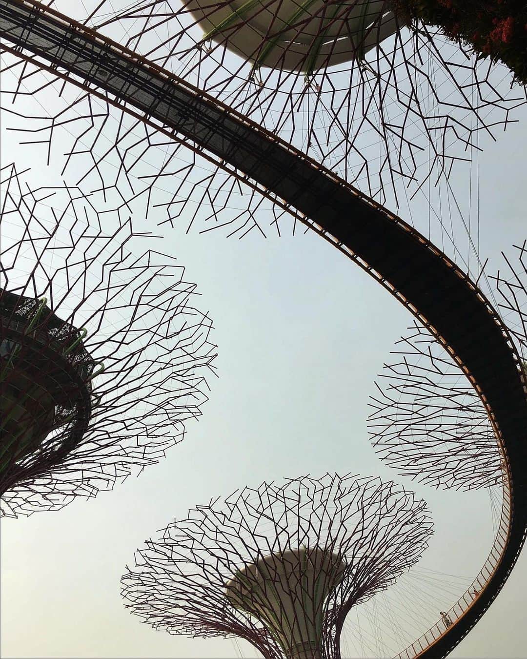 のインスタグラム：「#singapore」