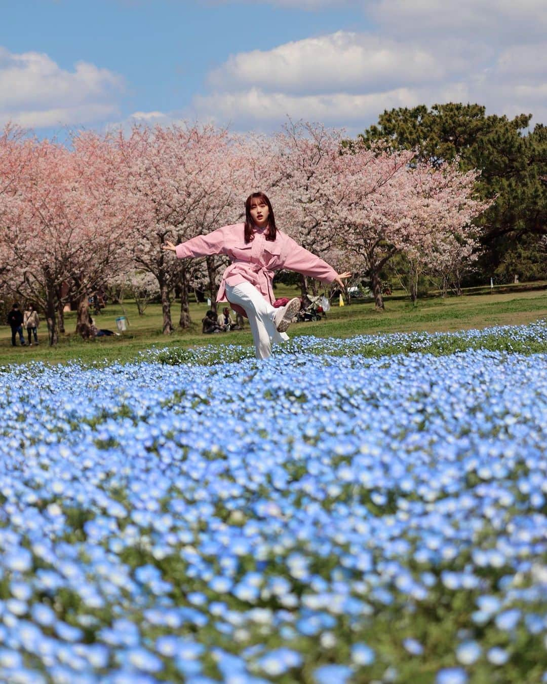 田島芽瑠さんのインスタグラム写真 - (田島芽瑠Instagram)「ネモフィラ×桜🌸﻿ ﻿ この２つの組み合わせが見れるから、海の中道のネモフィラ丘がとっても好きなの💕﻿ 今年はコロナの影響で閉園しちゃったけど、来年は絶対行こう。満開の時に行けたら最高だな😏✨﻿ ﻿ ネモフィラの花言葉は「どこでも成功」「可憐」﻿ ﻿ 桜の花言葉は「精神の美」「優美な女性」﻿ ﻿ 春のお花って、女性らしい花言葉が多いですよね〜☺️﻿ ﻿ 私も花言葉が似合うような女性になりたいな🌷﻿ ﻿ ﻿ #ネモフィラ #ネモフィラの丘 #ネモフィラ畑 #ネモフィラ祭り #海の中道海浜公園 #海の中道 #海の中道ネモフィラの丘 #海の中道海浜公園ネモフィラ #ネモフィラブルー #桜 #桜🌸 #さくら🌸 #さくら #nemophila #nemophilablue #sakura #sakura🌸 #福岡観光 #福岡 #福岡旅行 #fukuoka #fukuoka_camera #fukuoka_camera #fukuokapics #kissカメラ #canonphotography #canon_photos #青空 #bluesky #田島芽瑠 #インスタ映え」5月5日 12時08分 - meru_chan_official