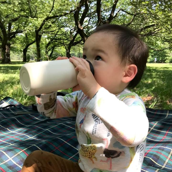 フリーデザインのインスタグラム