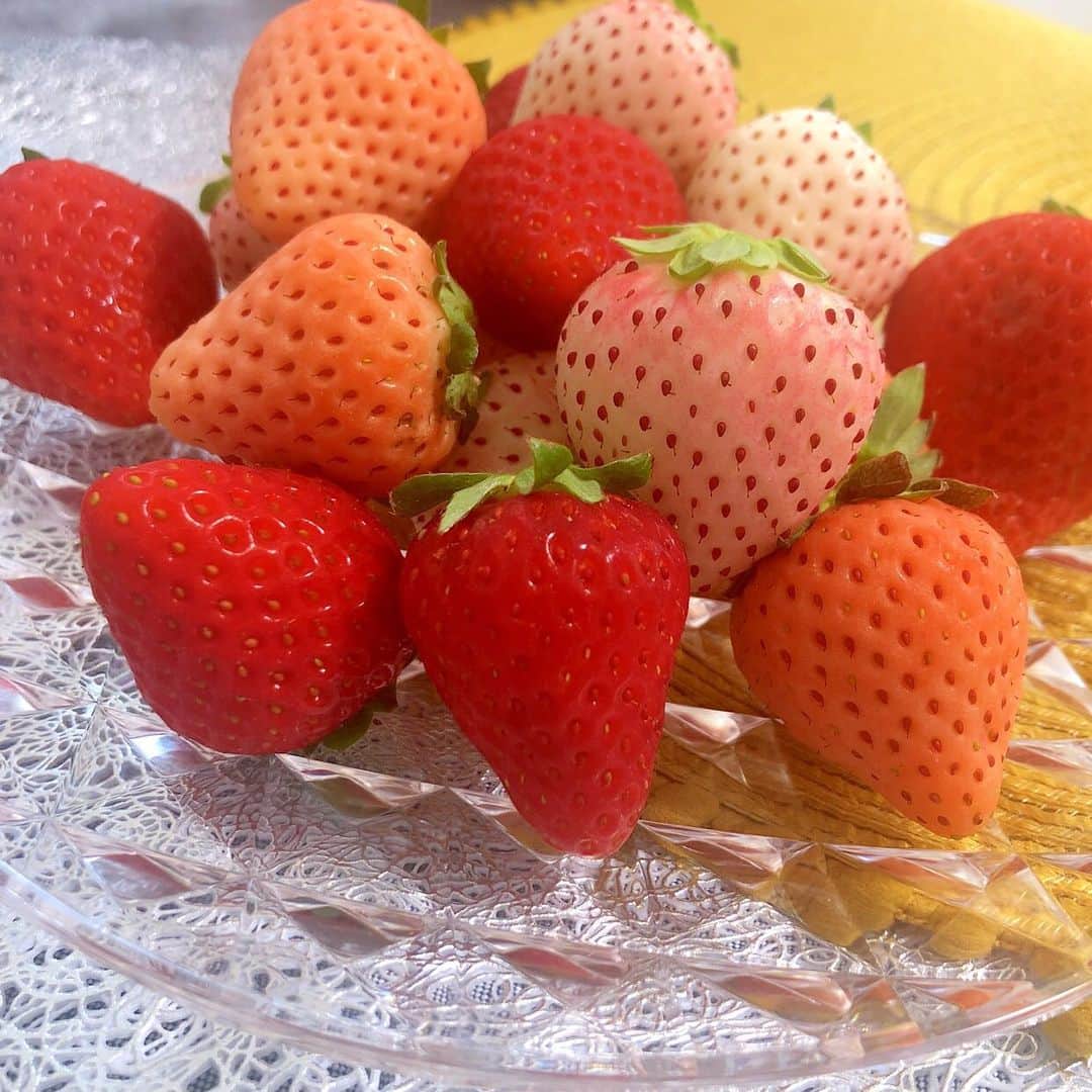 小澤真利奈のインスタグラム：「私のマイブーム 果物が大好きだから順位なんてつけられなかったけど… いまは毎日毎日毎日いちごからのスタートです。 #いちご #1番好きな果物が決まりました #そのまま食べて #ヨーグルトに入れて #毎日いちごづくし」