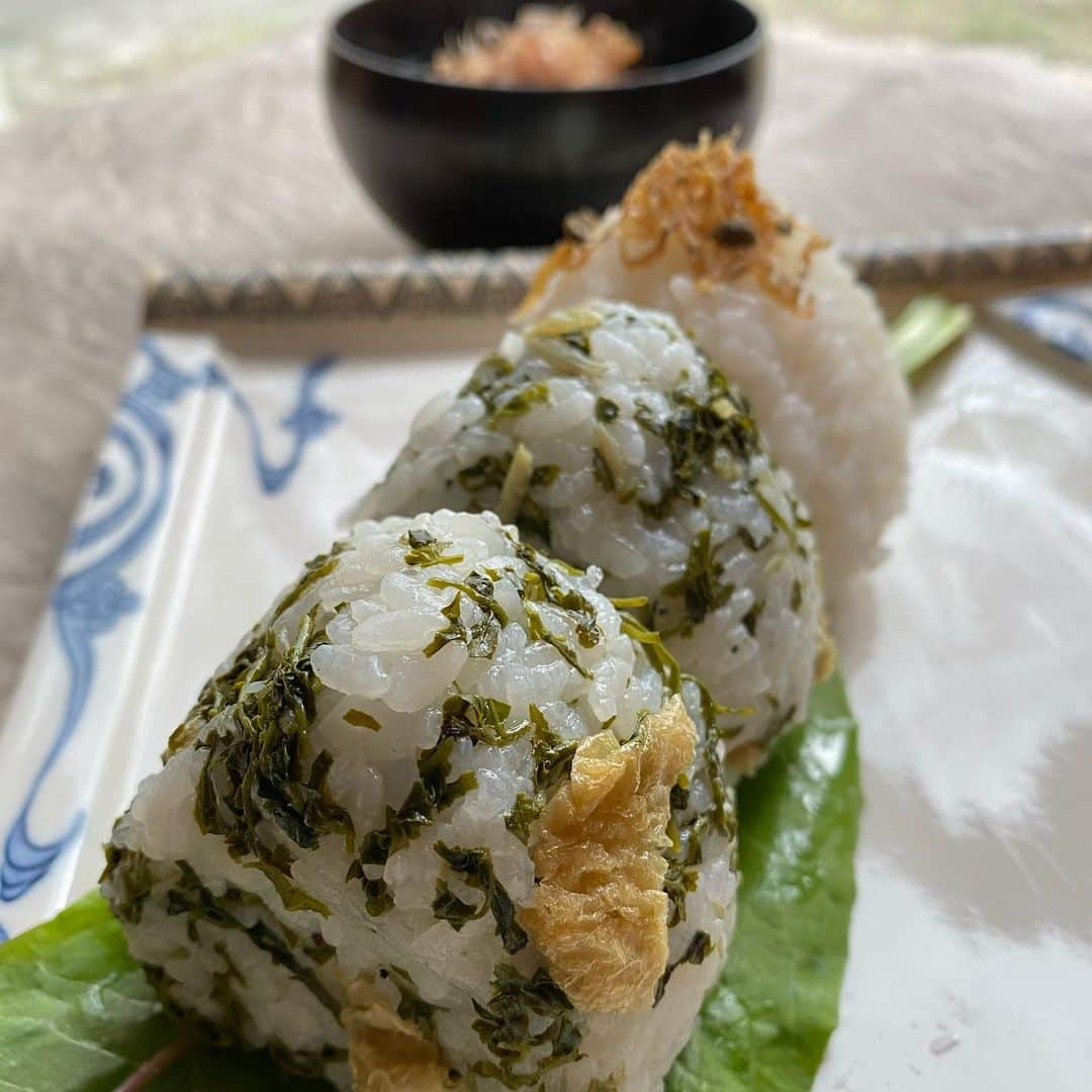 岡田美里さんのインスタグラム写真 - (岡田美里Instagram)「食空間プロデューサーの山本侑貴子さんと、次女の小春から医療従事者の方へ気持ちを結ぶ、という「おにぎりバトン」を受取りました。  私にとって白米はご馳走！ たまには高級なお肉でも…のタイミングでしか食べません。 なので京都与謝野から和久傳に野菜を卸す「京都祐喜」さんの自然栽培コシヒカリです。  1.2.きのこ王が「山椒の新芽を油揚げとじゃこで炊いたん」を混ぜて 3.京都「はれま」のちりめん山椒 で、京都と山椒をテーマにしました。  お皿は料亭を営んでいた私の祖母から譲り受けた昭和の古い角皿です。  バトンを渡すのは、 誇るべき日本人シェフ 世界的に成功した「NOBU」がアフリカに進出し、そこで従事していた @kekkeito  元 Nobu Cape TownのSushi Head Chef です。 ケッケ、よろしく！  #祈るおむすびバトン#おむすび#山椒の葉#ちりめん山椒#山本侑貴子#堺小春#京都祐喜」5月5日 13時13分 - millieokada