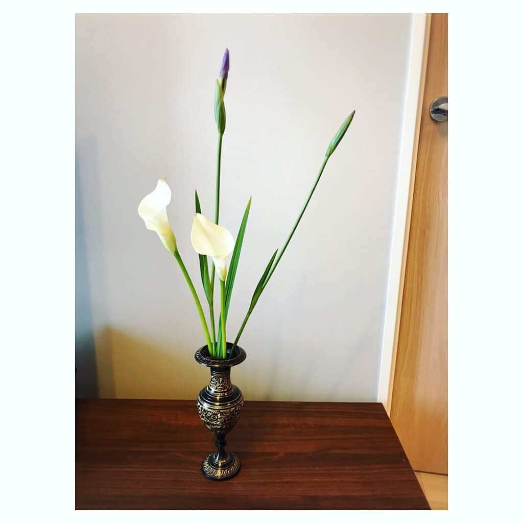 原田佳奈さんのインスタグラム写真 - (原田佳奈Instagram)「・ ・  菖蒲とカラー。  週末に、着物を着て、一人お茶会をするので、それ用の花を活けました。  花瓶と花のバランスがパキッと決まった時の嬉しさたるや😏  #菖蒲 #カラー #好きな花 #一人お茶会 #久しぶりに着物着るよ」5月5日 13時15分 - kanaharada1211