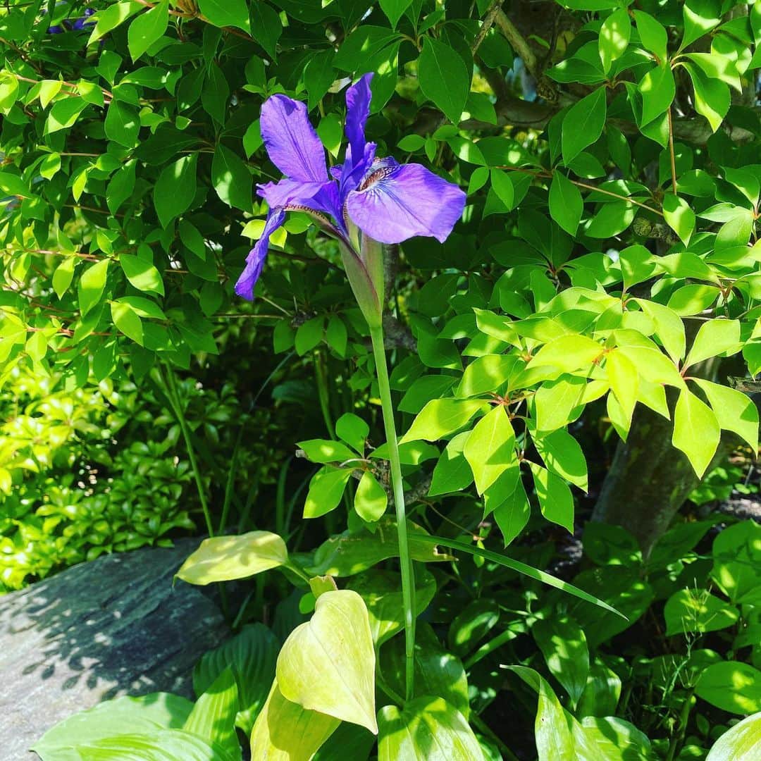 西川忠志のインスタグラム