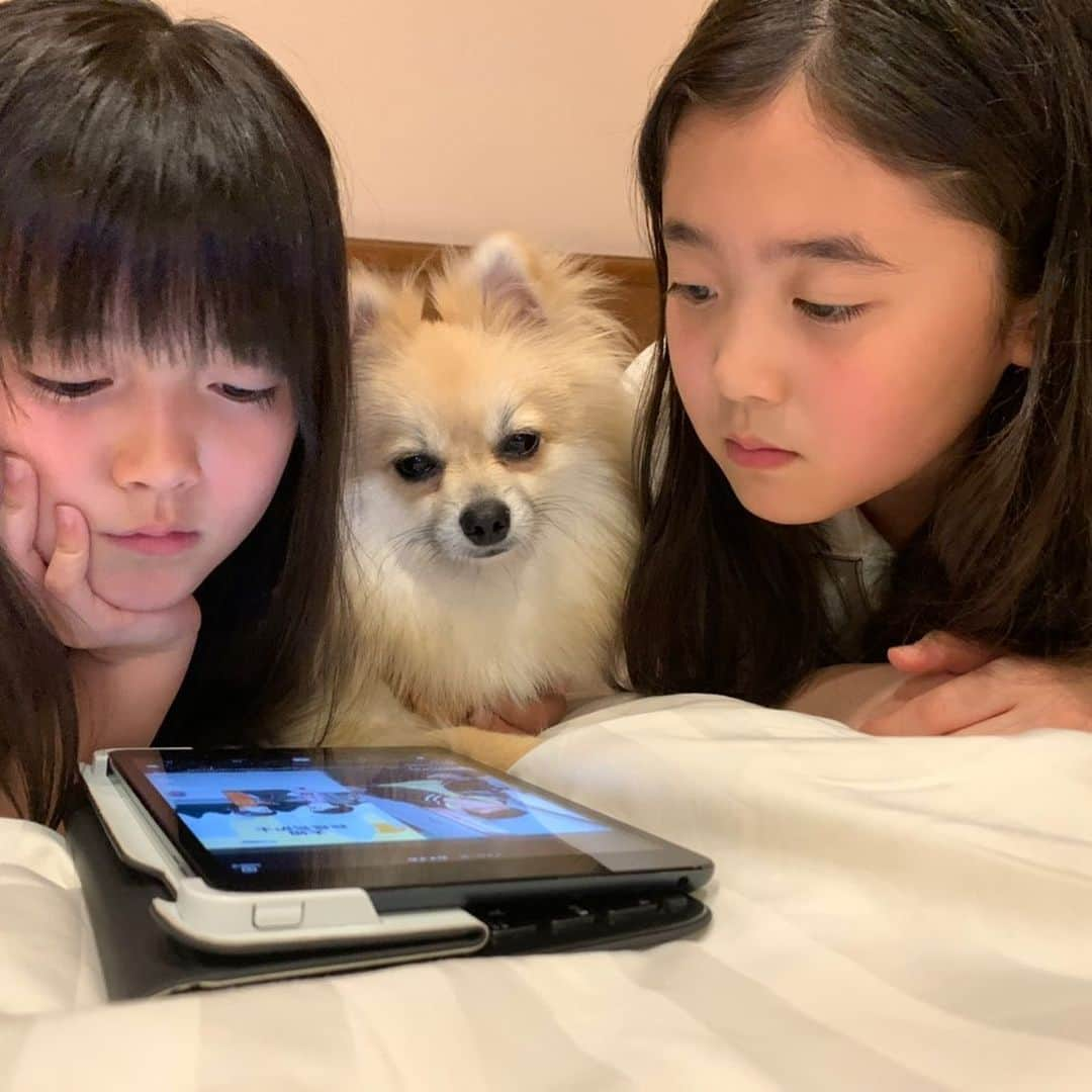 酒井高徳さんのインスタグラム写真 - (酒井高徳Instagram)「子供の日👨‍👩‍👧‍👧🐶 大きくなったけどこれからも健康に元気に育って下さいな☺️😊🙏 #子供の日 #子供の成長は早いね #これからが楽しみ #俺の夢は #40くらいになっても #かっこいいお父さん #でいること #買い物ついてって #荷物持たされたい #もちろんパパが買うよ #世の中のパパさん #自分磨いていつまでも #子供にかっこいいと #思われよう #そしたら奥さんも惚れ直すかも🤭」5月6日 0時00分 - sakai_go1123