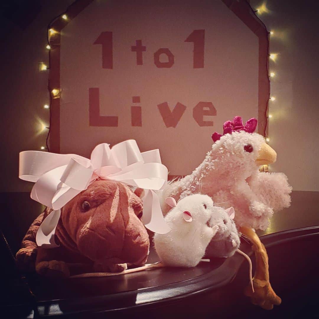 KOKIAさんのインスタグラム写真 - (KOKIAInstagram)「Next live stream will be on 16th of May. I’ll perform from an animal album. I hope It will be fun!! Here’s the link. https://youtu.be/xoMBKUX3-4E #tokyo #japan #japon #kokia #photography #歌手 #コキア #insta #art #beautiful #picoftheday #follow #女性 #ソングライター #photooftheday #woman #jmusic #ボーカリスト #singer #songwriter #jpop #vocalist #voice #声 #ライブ #live #綺麗 #日本 #livestream」5月6日 0時17分 - kokia_musician