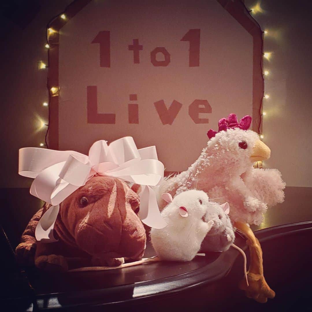 KOKIAのインスタグラム：「Next live stream will be on 16th of May. I’ll perform from an animal album. I hope It will be fun!! Here’s the link. https://youtu.be/xoMBKUX3-4E #tokyo #japan #japon #kokia #photography #歌手 #コキア #insta #art #beautiful #picoftheday #follow #女性 #ソングライター #photooftheday #woman #jmusic #ボーカリスト #singer #songwriter #jpop #vocalist #voice #声 #ライブ #live #綺麗 #日本 #livestream」