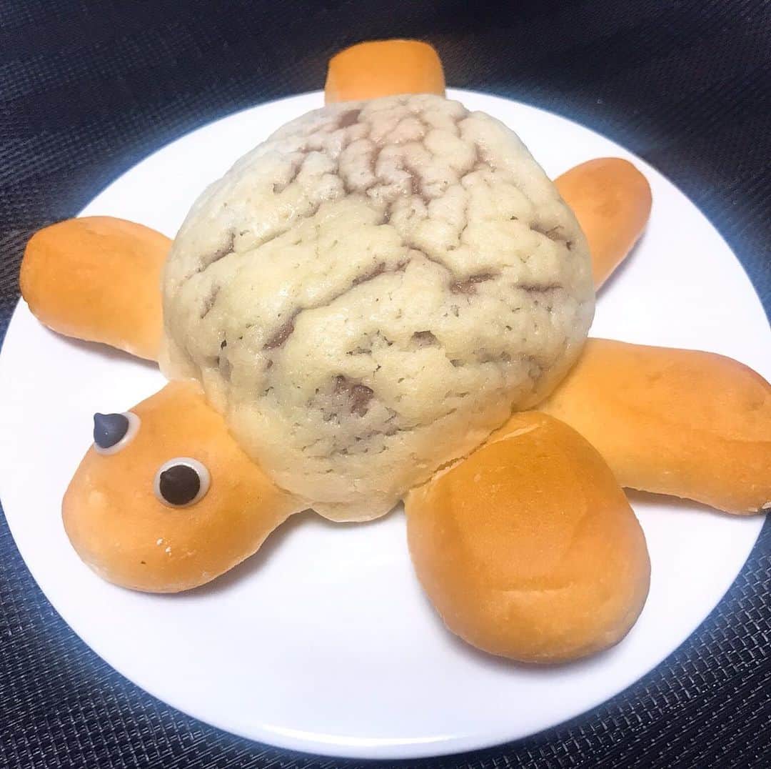 北見寛明のインスタグラム：「パン #本当はカレーパンを買いに行ったんだ #さっき謎の熊のパンを買って懲りたから #だけど気付いたらカレーパンではなく #君が家にいた #今回はわかるよ #君はカメだね #商品名は #カメロンパン #またふざけてるね #一回この店の店長と話し合いたい #明日こそカレーパン買おう」