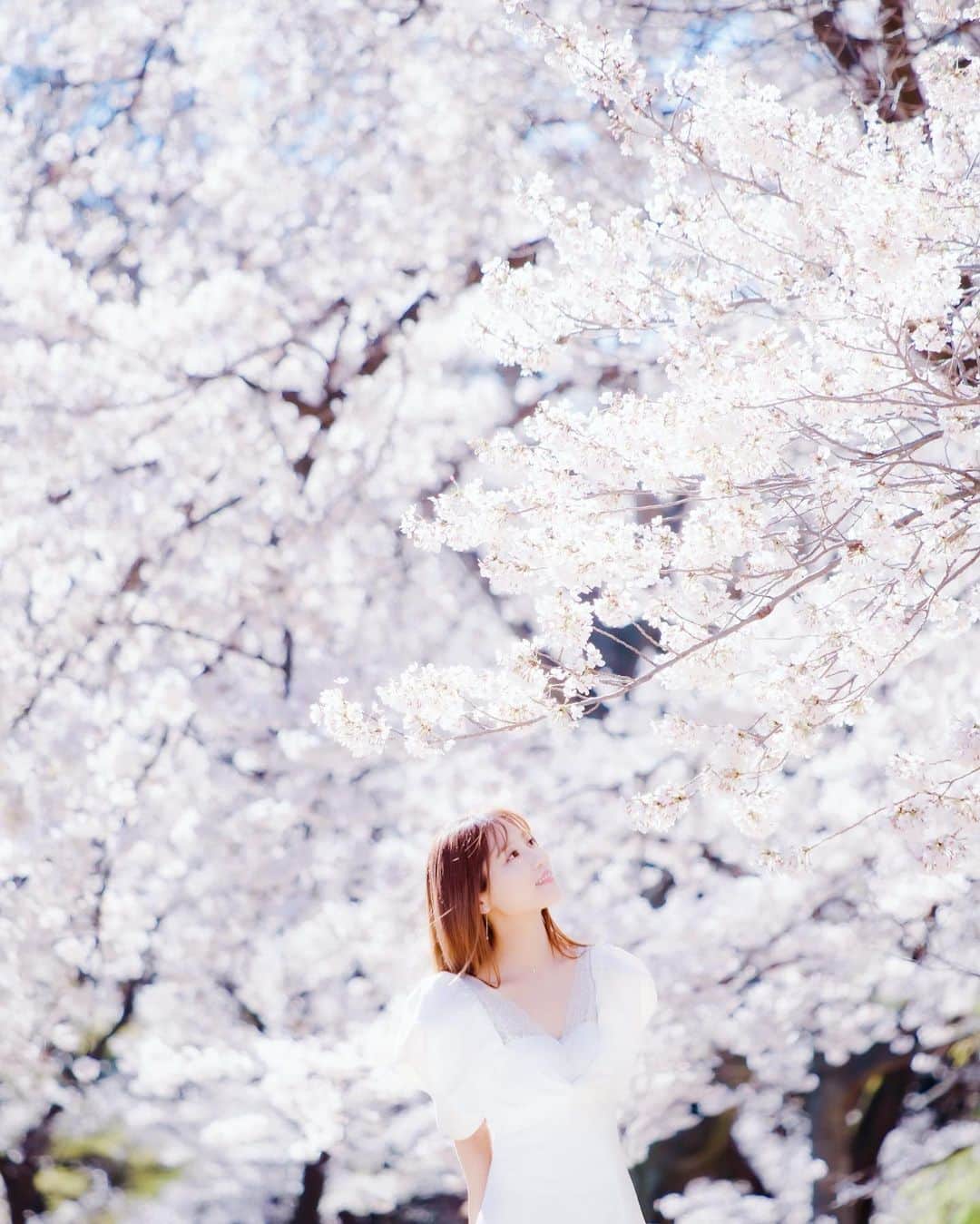 のインスタグラム：「🌸🌸🌸 ． #stayhome  一緒に乗り越えましょうね✨ ． ． #おうち時間　#桜」