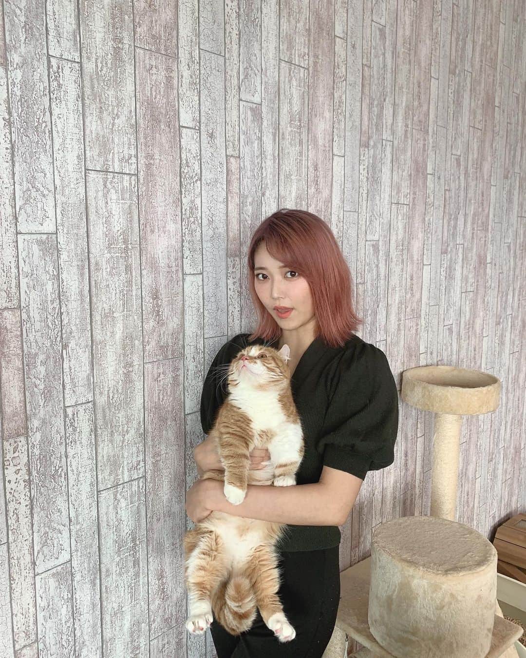 原田まりるのインスタグラム：「無事退院できました。 救急車で運ばれた時はどうなることかと思いましたが手術も成功して良かったです。 しばらくは通院もありますが、出来る限りゆっくり自宅療養したいと思います。」
