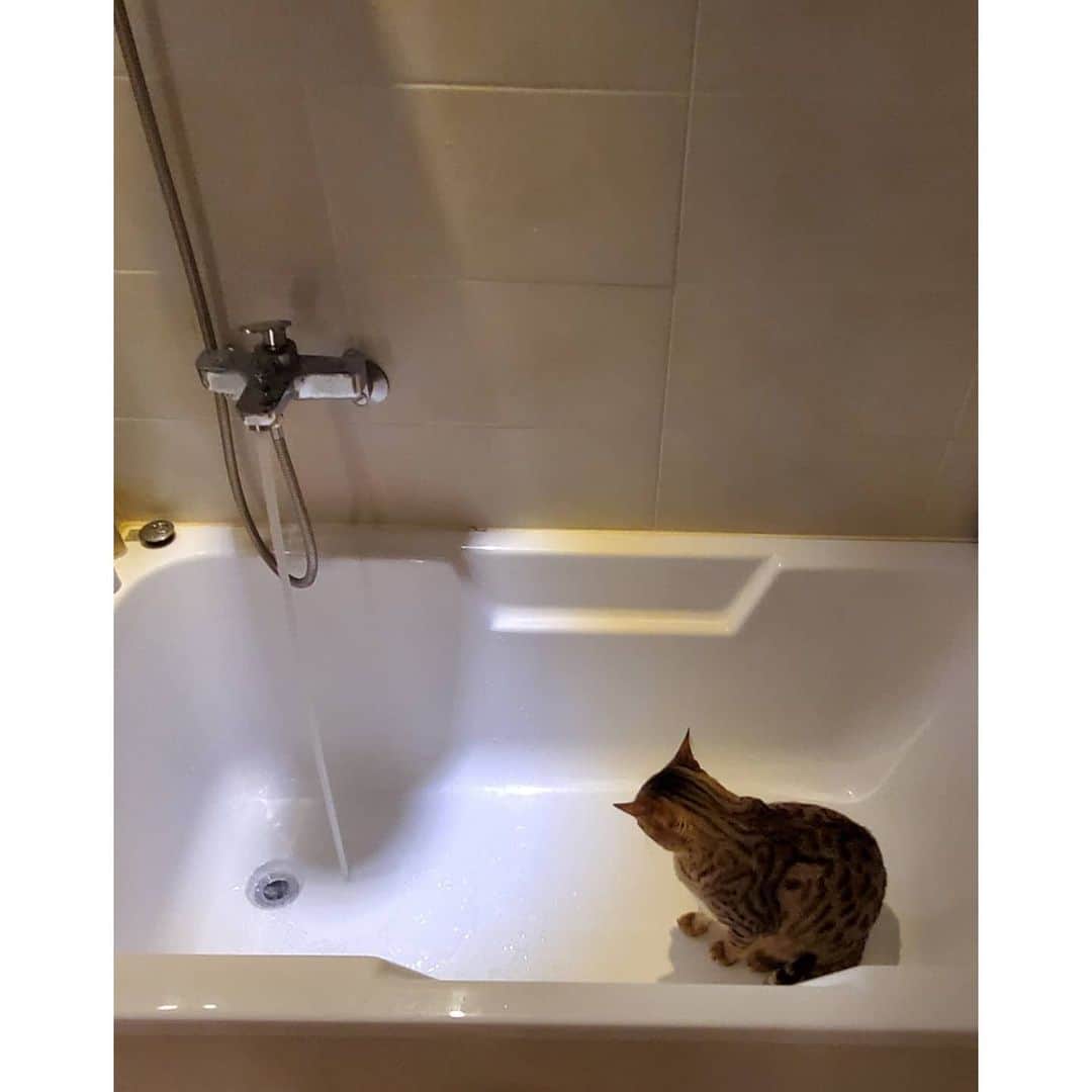 ジュノ のインスタグラム：「you want to take a shower with me?」