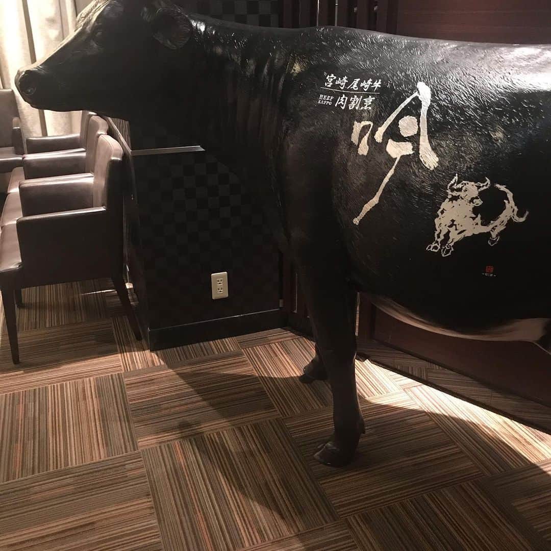 肉割烹吟北新地店のインスタグラム：「お久しぶりでございます。 政府からの自粛により 暫くの間休業しております。  ただいつでも営業できるように クラウドファンティングの 募集もしております。 もちろん有効期限はなしです。 吟グループなら使えます。  また詳細等は追って インスタの方に ご報告させていただきます。  https://camp-fire.jp/projects/view/262661?list=search_result_projects_populer」