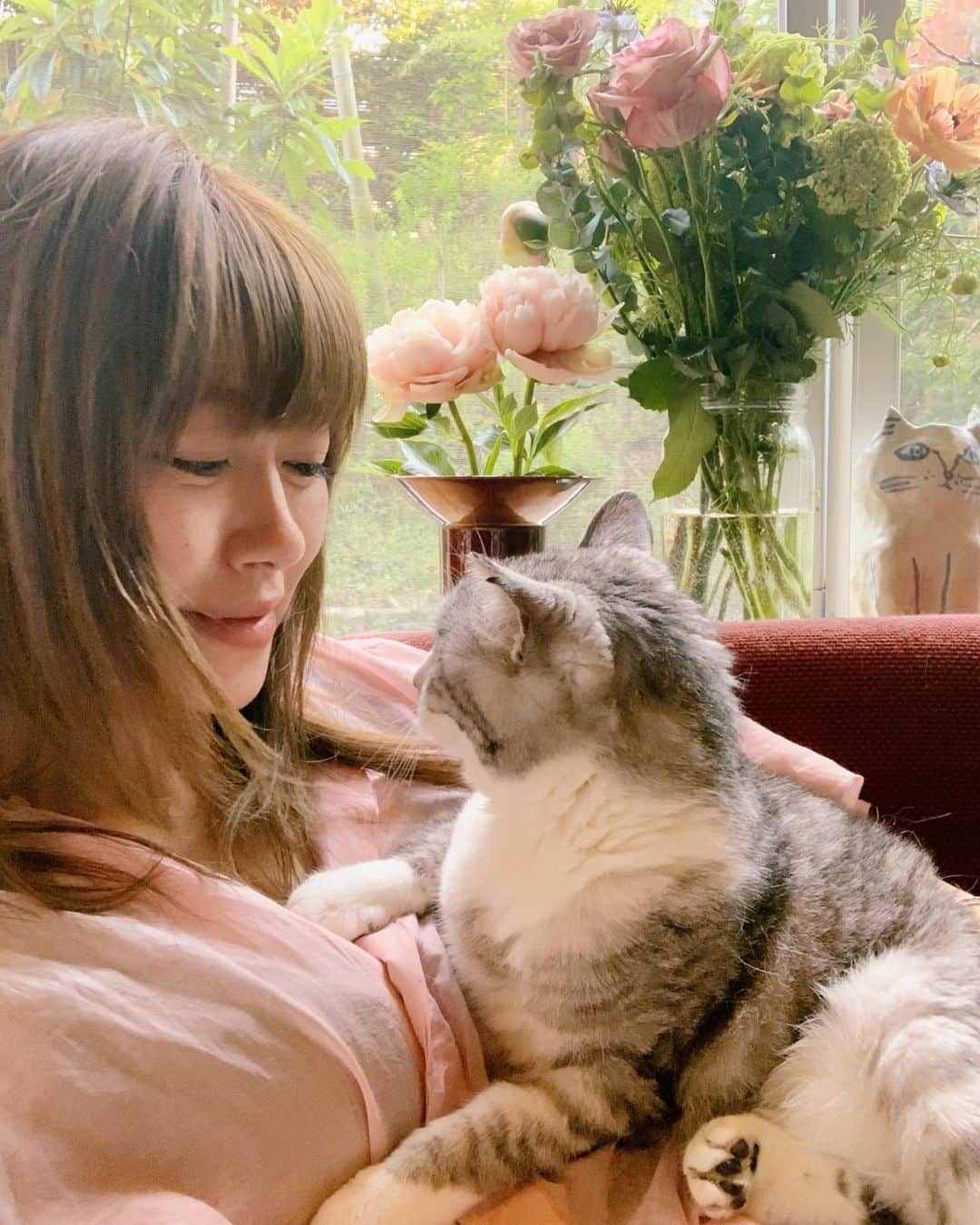 のインスタグラム：「今日は大切な記念日 サバ美と暮らして10周年。  2010年の5月5日に、まだ一人暮らしだった私の家族になってくれた。 サバ美は地域猫、からの保護猫だったから、ほんとの年齢も誕生日もわからないけど、推定1〜3歳と言われたので、2歳っていうことにして、うちに来た日を誕生日にした。 だから婦人12歳！ . 10年間一緒にいてくれて本当にありがとう。 . . Happy anniversary!  It's been 10 happy years since Savami became my family.  I'm so lucky to have met her... She's my sister, daughter, friend, my life partner. love you girl. . #BirthdayGirl #cat #サバ美」