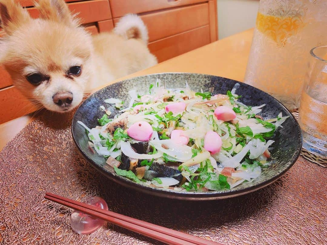 小寺真理さんのインスタグラム写真 - (小寺真理Instagram)「バンビーノ藤田さん(@fujiboy0730 )の オンライン料理教室で 教えてもらいました かつおのたたきカルパッチョ教えてもらいました！  超簡単で 超おいしくて 超お洒落  藤田さんのインスタで料理の様子が見れますので是非見てね〜！！」5月5日 18時56分 - koteramaricorin