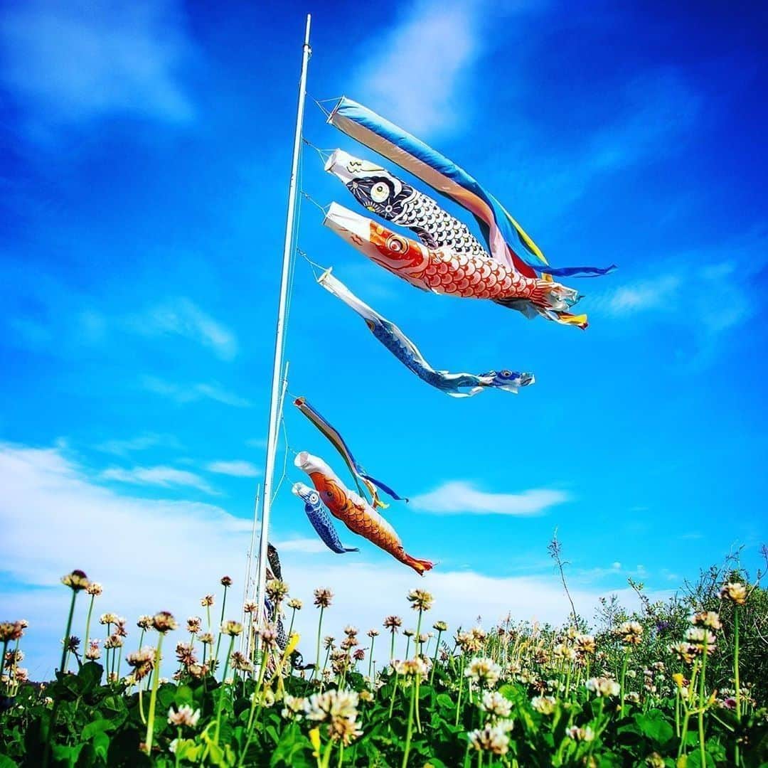 Visit Wakayamaさんのインスタグラム写真 - (Visit WakayamaInstagram)「.⠀ Today is Children's Day - On this day we hang Carp streamers in hopes that the children of Japan will grow strong and healthy.⠀ We hope that everyone is staying healthy and strong like these Carps. ⠀ #wakayamavisitsyou #stayhome #staysafe #staypositive #childrensday⠀ 📸: @yamaguci_taro」5月5日 19時00分 - visitwakayama