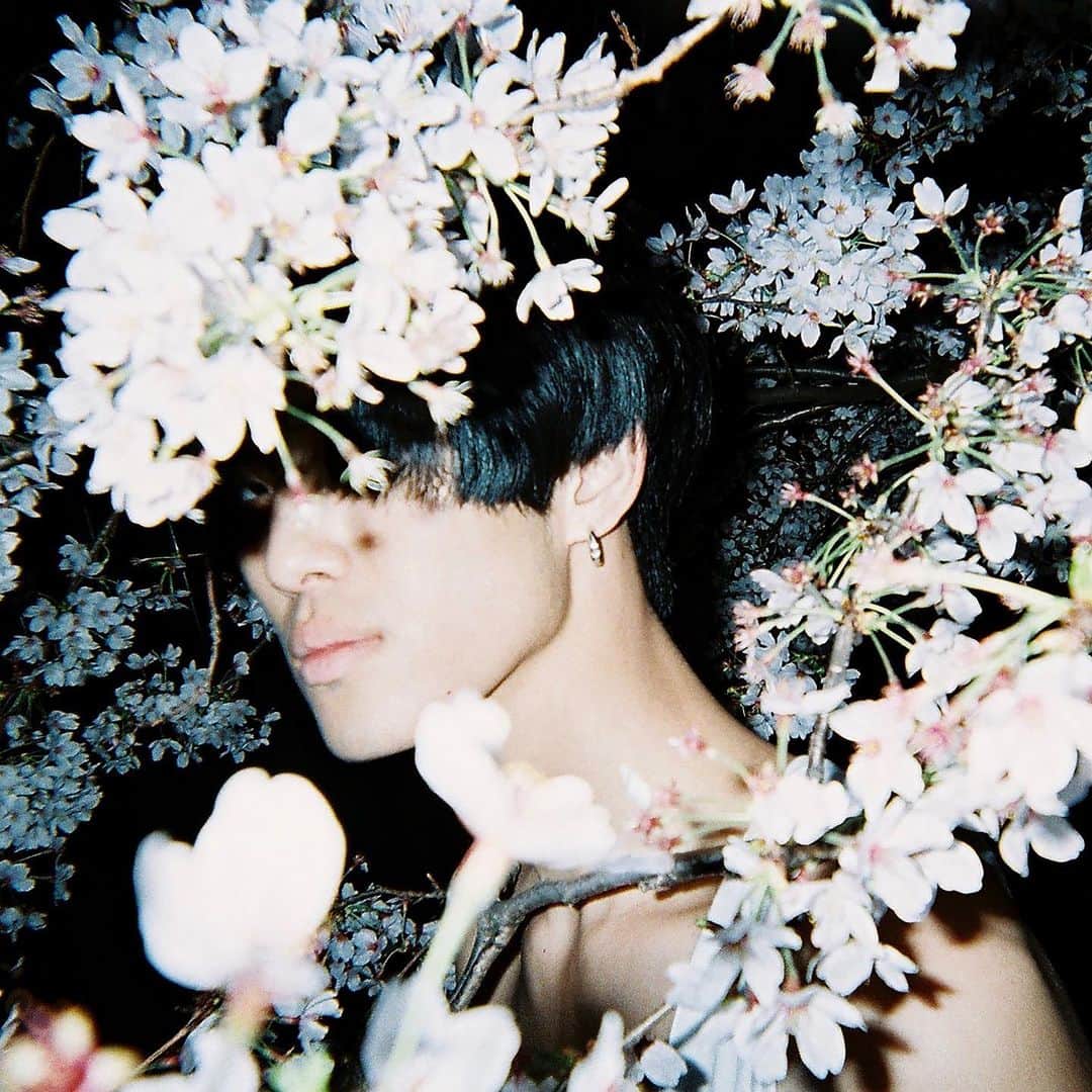 東京DANDYのインスタグラム：「‘We lament the brevity of the blossoms, yet they will bloom again next year. This individual, however, will never be as young as he was in this photo. Cyclicity is a core belief of the nature of 'things', but as individuals, we only have the here and now.’ text from DISPOSABLES exhibition, link in bio.」