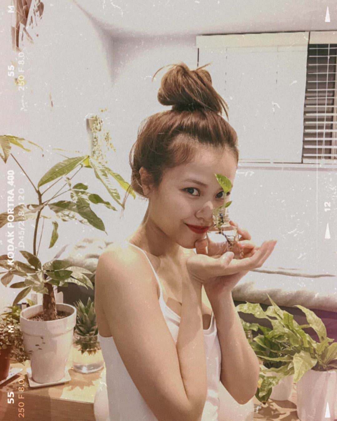 MiracleVellMagicのインスタグラム：「life with green🌿❤︎ 緑たちを迎えてから、部屋が呼吸し始めた。はぁ素敵、、、😚」