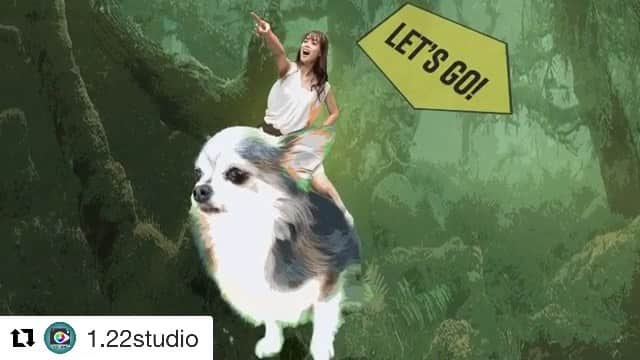 のインスタグラム：「♡ ゆうみとロコの大冒険が ここから始まる…🐾 ・ ・ ・ #Repost @1.22studio with @get_repost ・・・ ジブリ+マーベル!  #ジブリ #marvel #videography  model @yuumi817 & ロコ🐶」