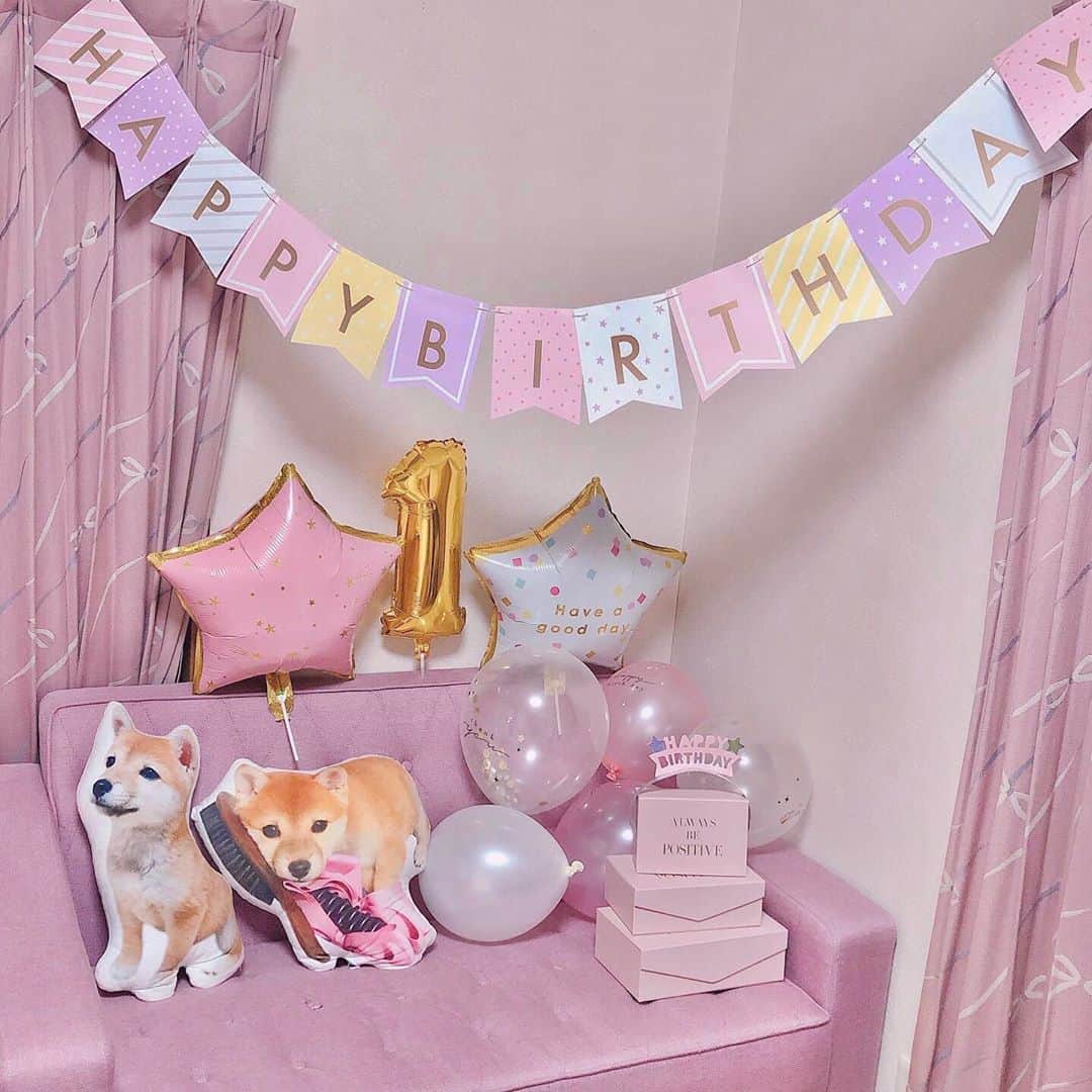 藤崎里菜さんのインスタグラム写真 - (藤崎里菜Instagram)「誕生日飾り付け&誕生日ごはん🎉 ． ． ごはんはじゃがいもとササミとにんじんと枝豆で作ったよ⭐️ ． ペロリと完食してくれて嬉しかった💕😊 ． ． ． #5月5日生まれ #誕生日 #こどもの日 #birthday #1歳 #1歳になりました #誕生日装飾 #おてんば娘 #ピンク #pink #ピンクの装飾 #バルーン #お祝い #豆柴 #豆柴むぎ #mameshiba #shiba #shibainu #dog #japanesedog #日本犬 #和犬 #犬  #愛犬  #犬のごはん手作り」5月5日 21時36分 - rina_fujisaki