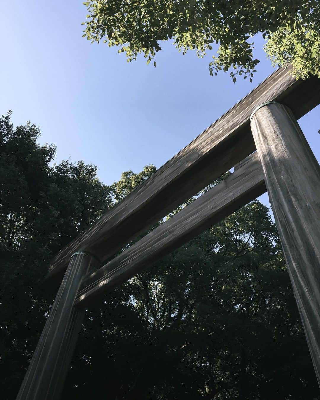 s_shoheyのインスタグラム：「. 遠出してる人は少ないけど近所の公園とかは人だらけだな、、 .」