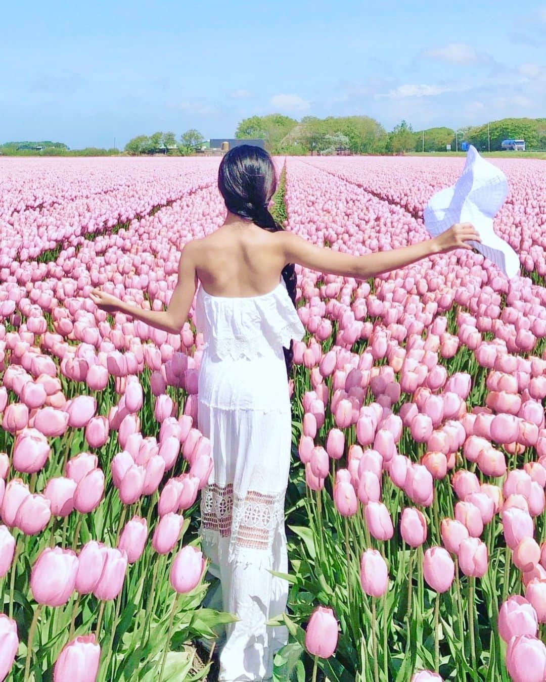Laraさんのインスタグラム写真 - (LaraInstagram)「. . . 🌷🌷🌷 #pink  #memory #2019may #オランダ旅  #🇳🇱」5月5日 22時44分 - fa_la_lara