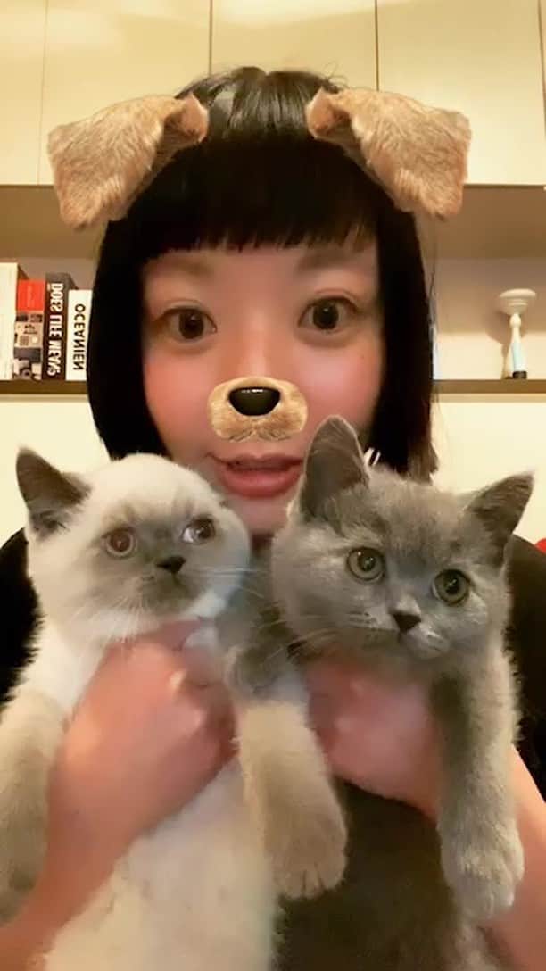 小鳥遊しほのインスタグラム：「電波の関係で途中で切れました笑。1時間位でこれも消す予定です。今日もご視聴ありがとうございました！！！」