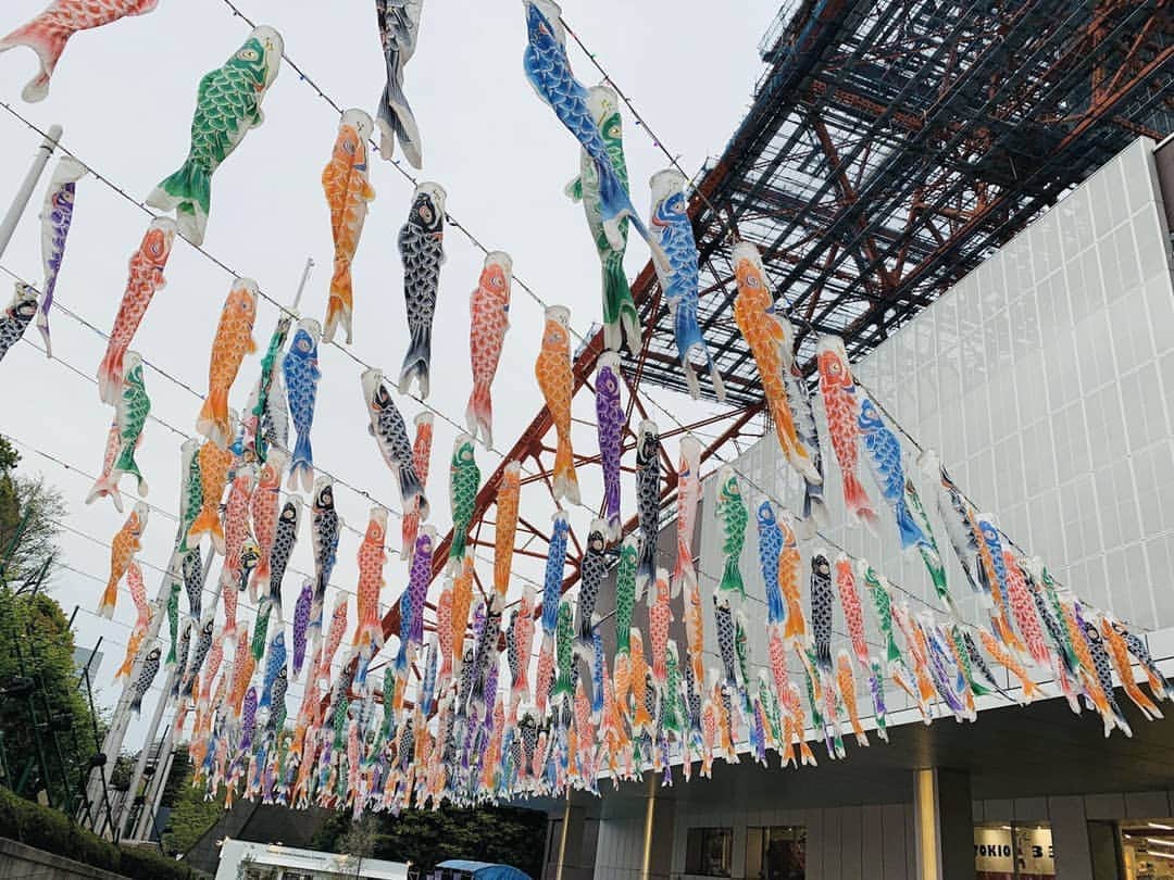 TBS「はやドキ！」さんのインスタグラム写真 - (TBS「はやドキ！」Instagram)「今日は5月5日「こどもの日」﻿ ﻿ オンエアでは「こいのぼりと風速」の関係についてお伝えしました🎏﻿ ﻿ こいのぼりがまっすぐ泳いでるときは風速5メートルくらいで、﻿ 洗濯物が飛ばされる可能性があります⚠️﻿ ﻿ ﻿ 2枚目は番組で紹介した、こいのぼりの写真です✨﻿ 東京タワー恒例のイベントで、昨年4月に撮影しました。﻿ ﻿ ほぼ無風で全く泳いでいなかったので、干物のように見えます😂﻿ ﻿ ﻿ 久保井﻿ ﻿ ﻿ #こどもの日﻿ #こいのぼり﻿ #山本匠晃﻿ #アナウンサー﻿ #久保井朝美﻿ #気象予報士﻿ #はやドキ﻿ #tbs」5月5日 22時57分 - tbs_hayadoki
