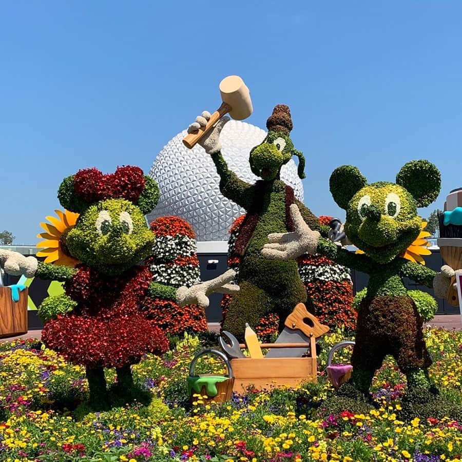 ミッキーマウスさんのインスタグラム写真 - (ミッキーマウスInstagram)「Check out your buddy Mickey alongside all the fresh buds blooming at Disney Parks around the world! ☀️✨🌻 #DisneyMagicMoments」5月5日 23時00分 - mickeymouse