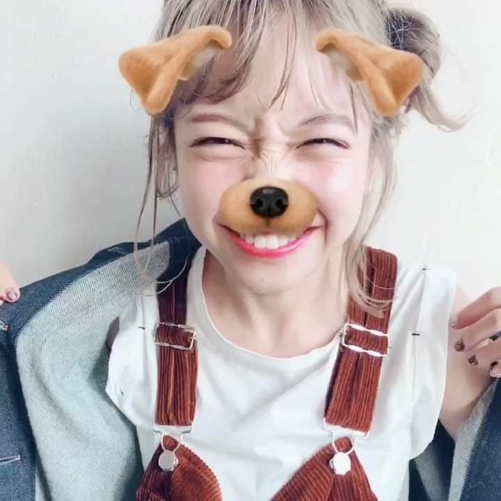 のインスタグラム：「🐶 今日は朝から久々によねしゃんと撮影❤︎ この金髪をめちゃかわにしてくれてるよ🤤🌟 おたのしみに〜！ 写真の前にこちらのオフショットいぬ💫 _ #SYAN #yone_hair #アレンジ #金髪 #ハイトーン #いぬ #ベロがあほっぽい #おたのしみに」