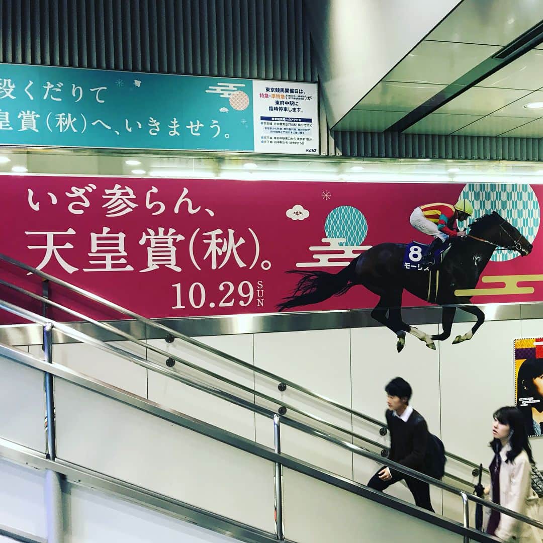 小澤陽子さんのインスタグラム写真 - (小澤陽子Instagram)「#キタサンブラックーーー‼️🐴 騎乗の、#武豊 ジョッキー🏇 ㊗️おめでとうございます🎉🎈 * * 勝った直後に撮っていただいた、 #光栄すぎる盾男との１枚。。😭✨ いや〜〜、、、強かった。。 『強い』が似合う人馬。 いいレースを魅せてくれました。。‼️ 人馬共に、本当に素晴らしいレースでした！！！🏇 * * *  キタサンブラックの#引退 まで、残り３戦。 #ジャパンカップ #有馬記念 #楽しみでしょうがない… #と同時に #寂しいからその日が来て欲しくなくもある… #ほんとはもっともっと語りたい…笑 #今見たら衣装と勝負服がマッチしてる…！！👏🏻✨ #枠じゃなくて勝負服だったか。。笑 * * ㊗️キタさん🐴 天皇賞3勝目/ GI 6勝目💫 ㊗️タケさん🏇天皇賞(秋)6勝目/ 春秋通算 14勝目💫 * #東京競馬場 #GIファンファーレにゾクゾク #雨にも拘わらず☔️ #約6万人も来てました😳✨ #ヘアスタイル #hairstyle #衣装 #ファッション #fashion #アナウンサー #gi🐴白の衣装レパートリー❤︎」10月29日 17時38分 - yoko.ozawa729