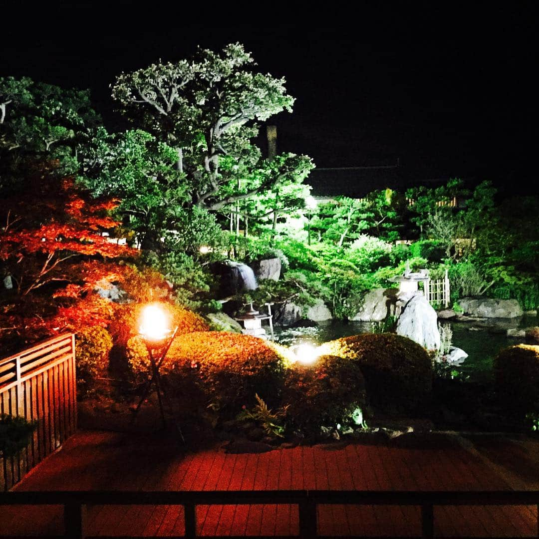 takayuki oheさんのインスタグラム写真 - (takayuki oheInstagram)「あわら温泉旅行の思い出その二 とても素敵な庭園ライトアップ✨  #グランディア芳泉 #あわら贅沢 #あわら温泉 #芦原温泉」10月29日 11時08分 - takayuki.ohe