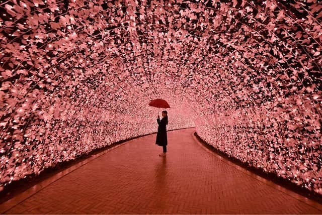 じゃらん遊び・体験予約のインスタグラム：「今日もあいにくの雨ですね☔︎ みなさんの雨だからこそ行くべきおすすめ体験を教えてください🤗 .⠀ photo by @happy_twinkle_star ⠀ #jalan_asobi タグを付けて頂いた投稿の中から @jalan_activity 担当者がピックアップした作品を紹介しています！ いいね&コメントお待ちしております✨⠀ .⠀ ＼✨じゃらん遊び・体験フォトコンテスト開催中✨／ 選ばれた方は、『関東・東北じゃらん、東海じゃらん、関西・中国・四国じゃらん、じゃらん九州』に掲載されます！⠀ ▶︎詳しくはホームのURLをチェック! @jalan_activity⠀ .⠀ .⠀ #じゃらん遊び体験予約 #instagramjapan #tokyocameraclub #土曜日の小旅行 #ig_japan #wu_japan #lovers_nippon #team_jp_ #photo_shorttrip #s_shot #東京カメラ部 #jp_gallery #japan_daytime_view #体験 #アクティブ女子 #外遊び #観光 #絶景 #日本の絶景 #女子旅 #カメラ女子 #旅好きな人と繋がりたい #旅好き #goproのある生活 #ローカル #なばなの里 #バスツアー」