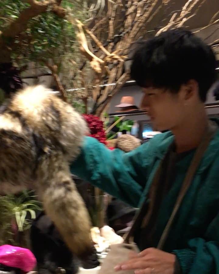 安藤祐輝のインスタグラム：「帽子〜の季節〜たぬき笑 #帽子#たぬき#おはようごさいます#今日も1日頑張りましょう#ハッシュタグのやり方最近知った#おじさん#ただつけたいだけ #早送り」