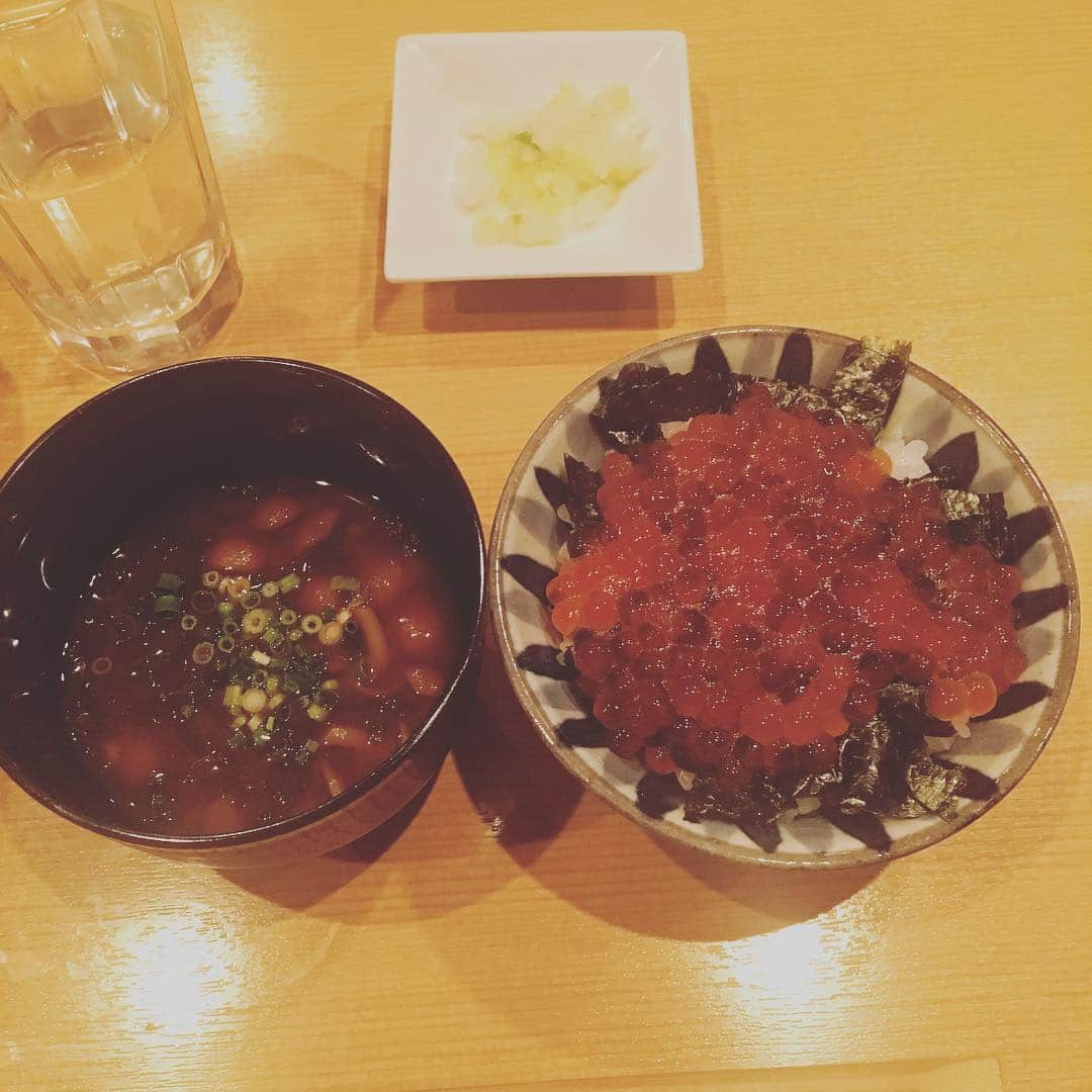 のインスタグラム：「今月とても おいしい日本食を 頂いた夜があり 最強の いくらごはんを 思い出してる。 これを食べた夜 またこれを食べる夢を 見ました。 泣けました。😿」