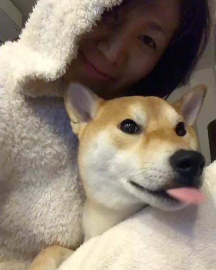 高橋みゆきのインスタグラム：「マッタリTime🐶💕 #クラ吉 #柴犬 #幸せ」