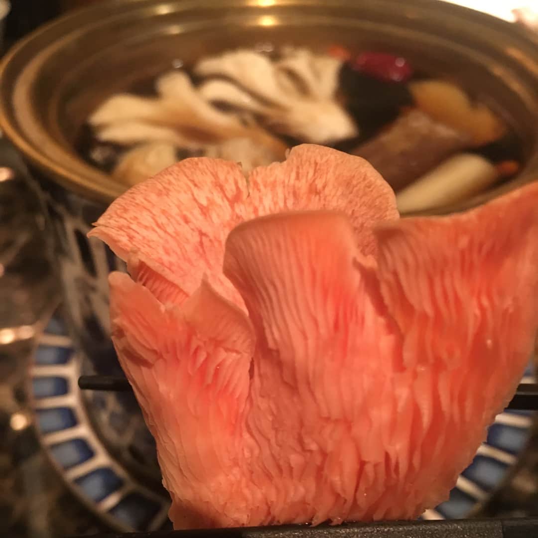 加藤紀子さんのインスタグラム写真 - (加藤紀子Instagram)「今夜は豆腐マイスター講座でお世話になった谷口ももよ先生と舟久保琴恵先生と‘美味しい物を食べよう’の会。 今が旬のキノコ、薬膳スパイスエキスの濃厚お出汁でお腹いっぱい堪能してきました。 中国豆腐もフカフカで美味しかったなぁ。 ローカロリーなのに食べ応え充分のキノコ、食べてて罪の意識減った〜  #豆腐マイスター」10月31日 23時19分 - katonoriko