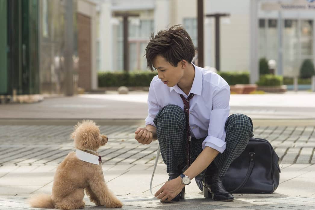 兄に愛されすぎて困ってますのインスタグラム：「本日は #犬の日🐶  犬といえば... 千秋さんとショコラ💓  #とってもおりこうさん #2人で会話中😚 #草川拓弥 #兄こま #DVDとブルーレイは来年1月10日発売」