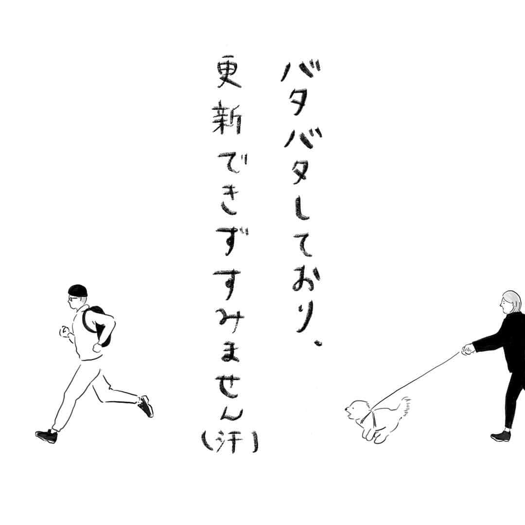 カズオPのインスタグラム：「ちょっとバダバタしてまして更新できずすみません。 もうすこししたら落ち着くのでまた更新していきます🙋‍♂️ #ポロのすくすく成長日記  #ポロ #愛犬  #ふわもこ部 #ビションフリーゼ #ビション #ビションあるある #犬バカ部 #絵日記 #今日のワンコ #ビション飼い」