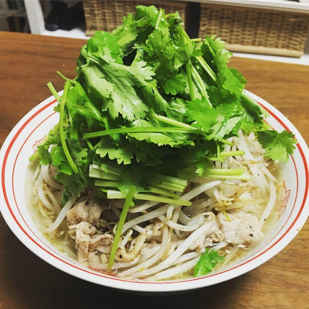 山崎正太郎さんのインスタグラム写真 - (山崎正太郎Instagram)「家でラーメン作ったらこーなった #パクチー #豚バラ #もやし #塩 #タンメン #二郎系じゃない #太郎系」11月1日 20時05分 - cnr.dr.shotaro