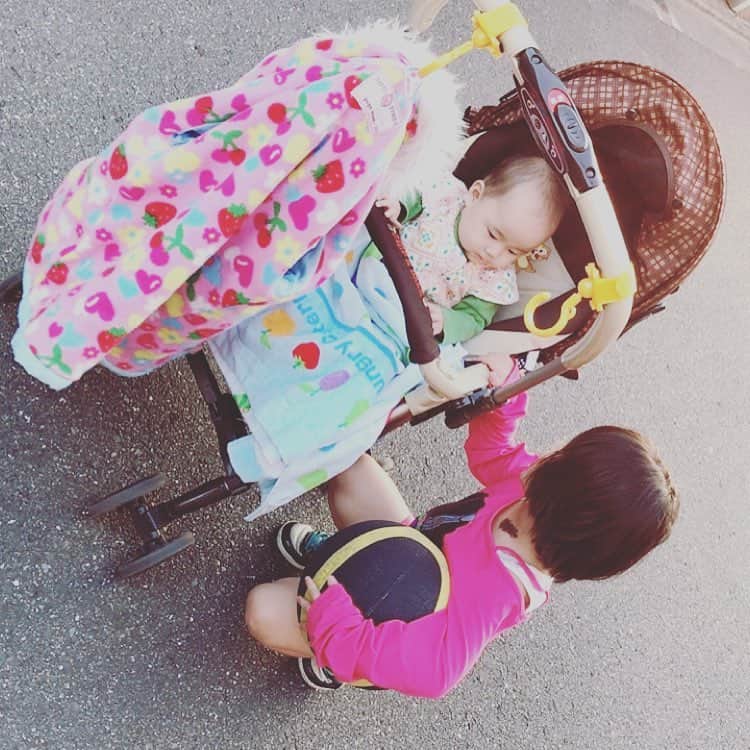 美奈子さんのインスタグラム写真 - (美奈子Instagram)「夕方のお散歩♡♡ お天気がいいと お散歩できるから嬉しいねえ(*´ω`*) #お散歩 #柚都 #蓮々 #美奈子」11月1日 16時25分 - minako_official