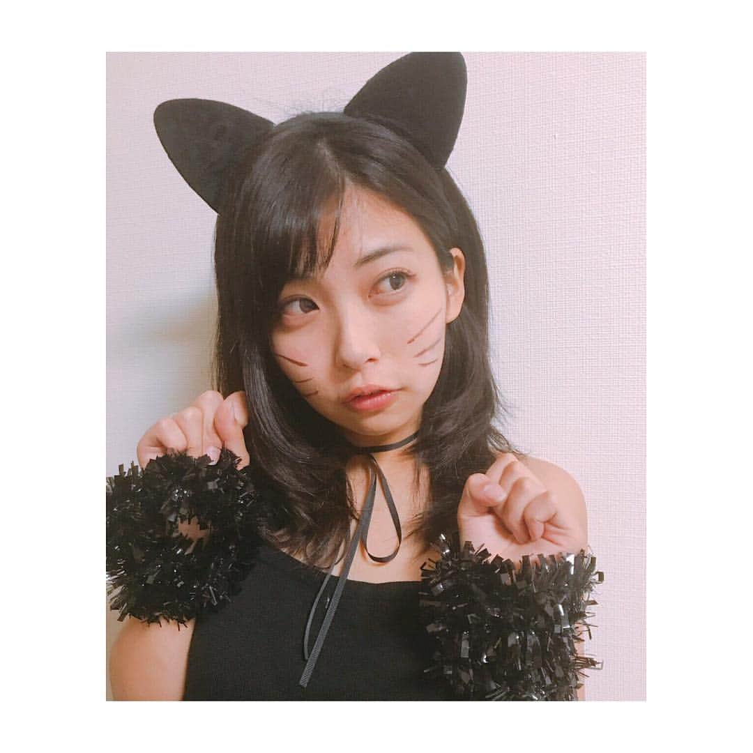 辻田良枝のインスタグラム：「ねこ」