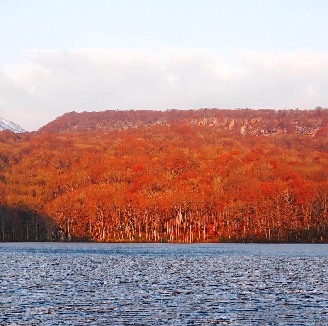 Giann Chanのインスタグラム：「4am 起身 追景  #CTYTRAVELMAP #Aomori #秋」