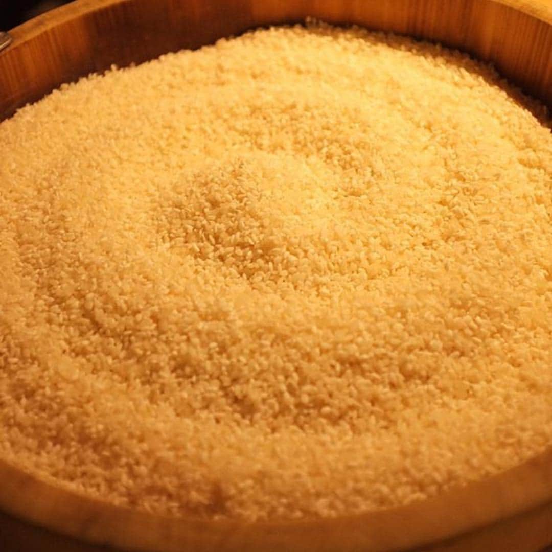 Cafe Companyのインスタグラム：「by @shogo313, at @hakko5 “Shio-kouji” Malted rice with salt which makes meat tender and to put umami. #japanesefoods #washoku #rice #ricemalt #traditionalfood #日本料理 #和食 #麹 #塩麹 #発酵居酒屋5 #tokyo #izakaya #japan #fermented #fermentedfood #cafecompany」