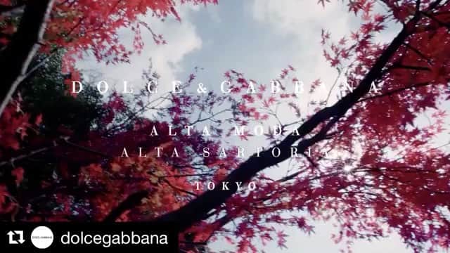 のインスタグラム：「#Repost @dolcegabbana with @repostapp ・・・ Dolce&Gabbana Alta Sartoria and Dolce&Gabbana Alta Moda at the Italian Embassy in Tokyo.  イタリア大使館で開催のドルチェ&ガッバーナ アルタ モーダ ショー。 #DGLovesJapan #ドルガバ #DGラブジャパン」