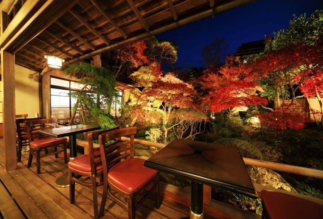 Relux | リラックスさんのインスタグラム写真 - (Relux | リラックスInstagram)「夜空と紅葉が織りなす、美しい庭園に酔いしれる . . . 秋旅は、#Reluxでリザーブ お得なクーポンが当たるキャンペーンはプロフィールのリンクから▶ @relux_jp . #Relux #旅行 #文化財の宿新井旅館 #静岡 #旅館 #紅葉 #修善寺温泉  #trip #travel #shizuoka #onsen #instatrip #instatravel #japantrip #japantravel #unknownjapan」10月10日 19時00分 - relux_jp