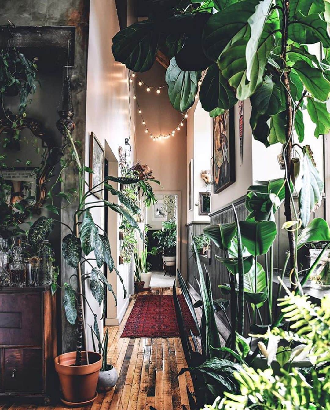 Snapfluenceのインスタグラム：「Did you guys catch our list of dreamy house jungles? 🌵 Featuring the likes of @hiltoncarter, @tribeandus, and @friederikchen! Linked in our bio 🌿」