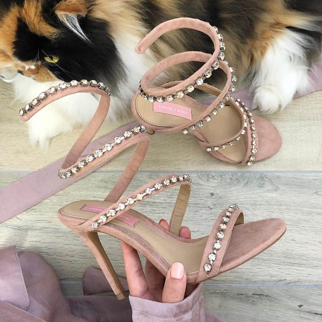 Carli Bybelのインスタグラム：「of course miss Cindy girl @carliscats had to photobomb😹 how dreammmy are these heels from my new #CARLIBYBELxMISSGUIDED line! Ah!!! 💎will be available in pink and black $65 💎launching 10|17|17 🎉 💎mauve silk jacket preview coming sooon👛」