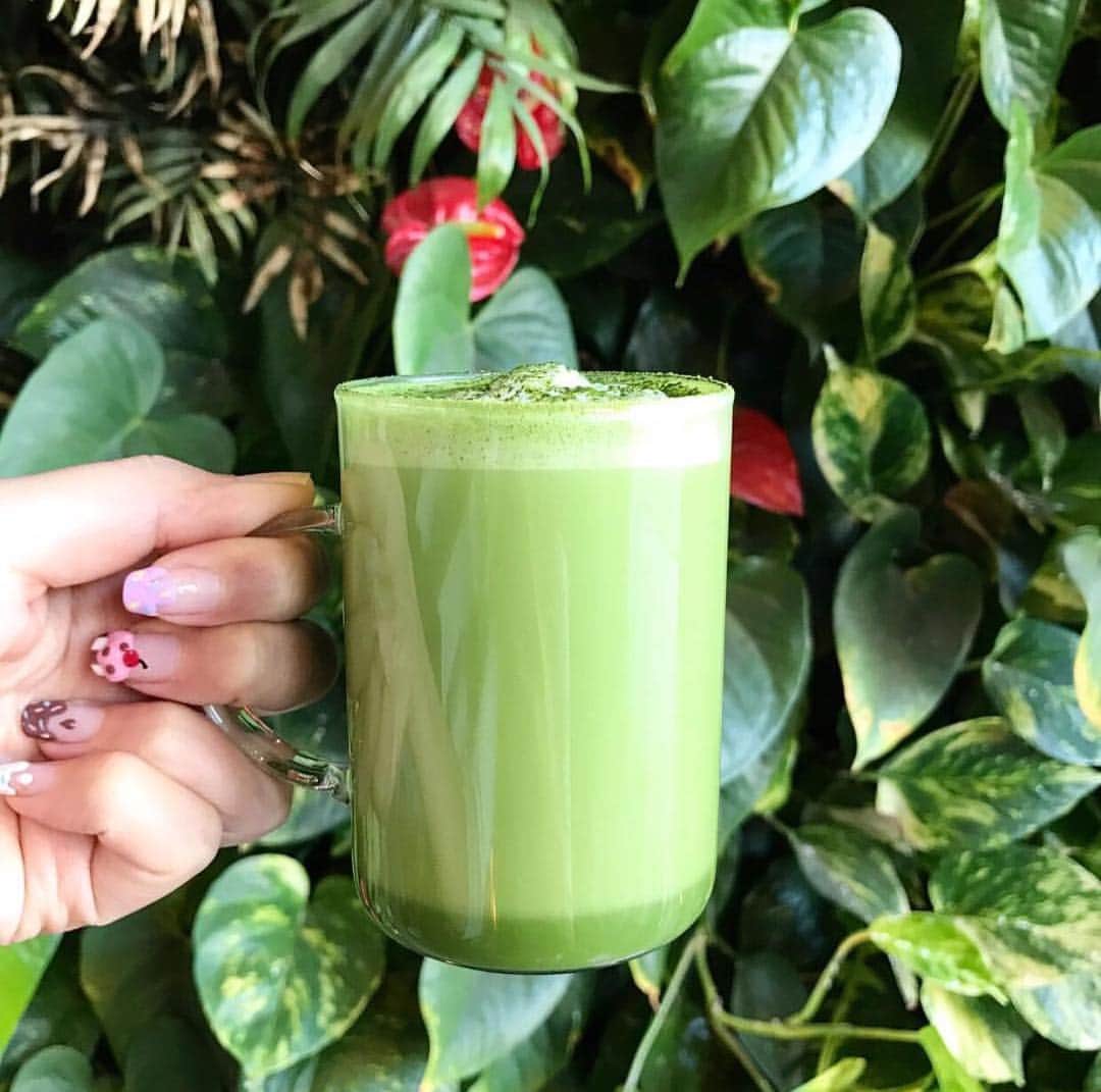 American Tea Roomさんのインスタグラム写真 - (American Tea RoomInstagram)「Matcha lovers, this is for you! Why do you choose matcha over other teas and how does it make you feel? 🍵」10月11日 10時20分 - americantearoom