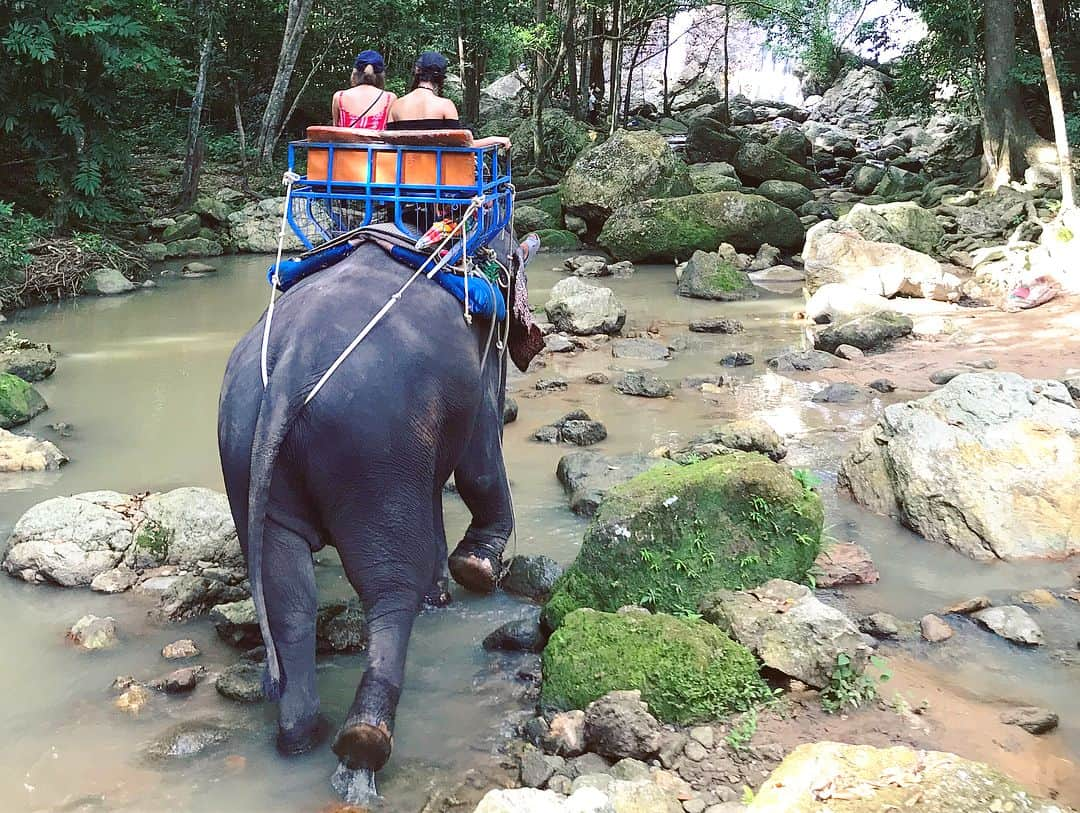 MIKAさんのインスタグラム写真 - (MIKAInstagram)「タイでぞうさんに乗ったゾウ🇹🇭🐘 4年ぶりに乗った🐘🐘🐘 お爺さんとお婆さんの岩にも行って…射撃もして…唯一行動的だった１日でした笑 "何もしない" をしに行ったからね後はひたすらぐーたらしてたよ ´ ▽ `  #mikatinthailand #swipeleft #芦屋の金槌娘 #東京の鉄砲玉娘 #栃木の爆弾娘」10月11日 14時32分 - cjd_mika