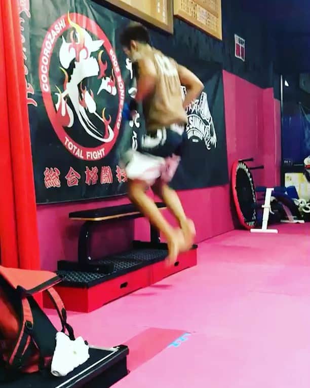 白川陸斗のインスタグラム：「本日のサーキットトレーニング！！ インスタには動画を全部載せれんけど(*_*) 全部で3セットする中のこれは2セット目！ もちろんノンストップで！  2セット目でこんだけぐだぐだなってたら あかんわな(*_*) 1セット目のキレを3セット目まで 継続できるぐらいの体力つけねば！！！ 継続あるのみ！！ それとサーキットトレーニングに 取り入れた方がいいよって言う メニューがあるなら 是非教えて欲しいです！！ . . #サーキット#トレーニング#志道場#dark#dark陸斗 #白川dark陸斗 #treaning #mma #羽曳野#河内長野#osaka」