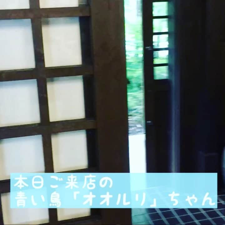 ほうとう 富士の茶屋のインスタグラム